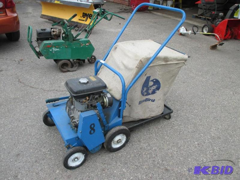lot 34 image: Bluebird Yard dethatcher...
