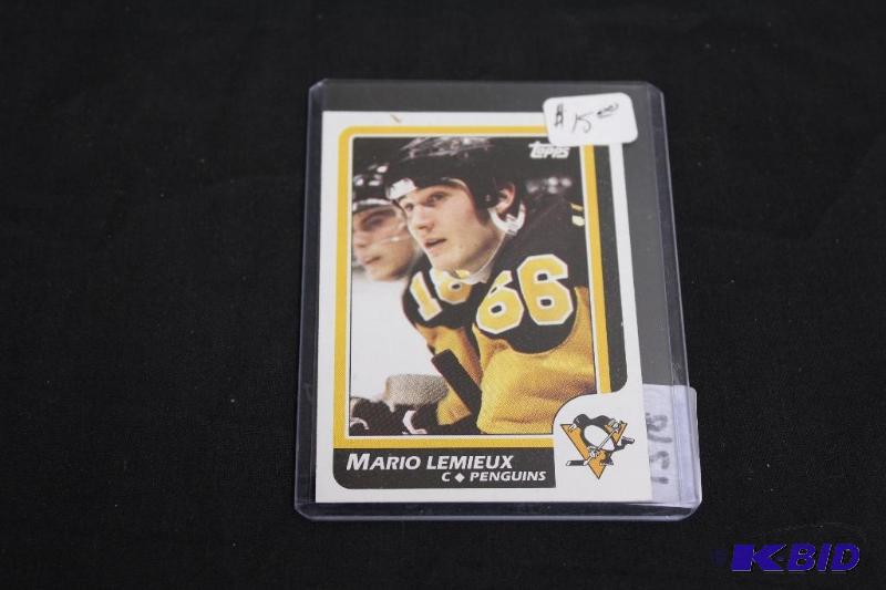 Collectable Hockey Card in Protective Case ...
