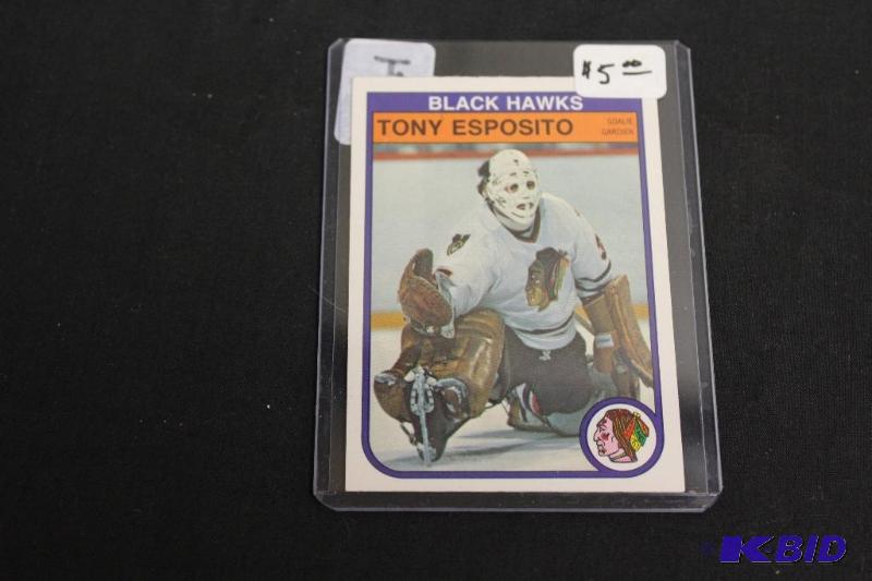 Collectable Hockey Card in Protective Case ...