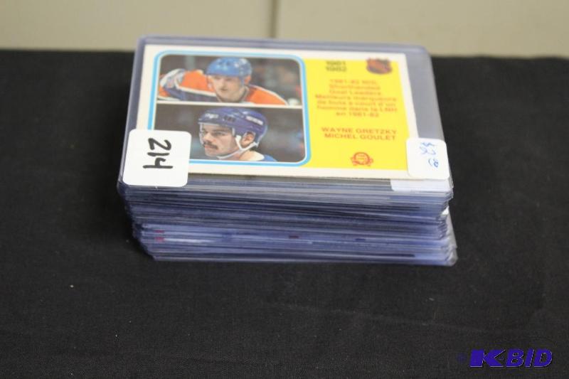 Lot of 20 Collectable Hockey Cards in Protect...