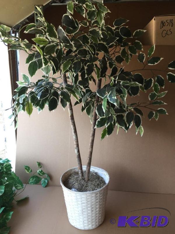 Imitation plant...