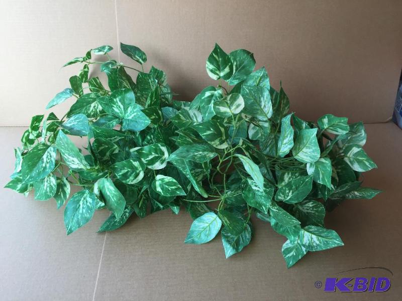 Imitation plant...