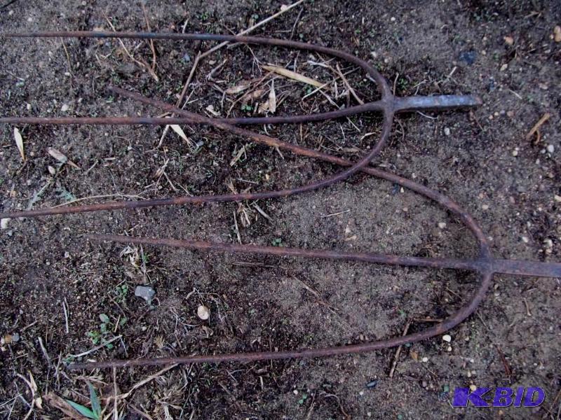 Pitch Fork Tines