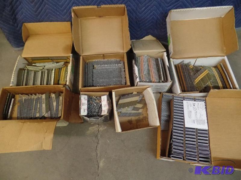 Assortment of Nails, Screws, and Staples
