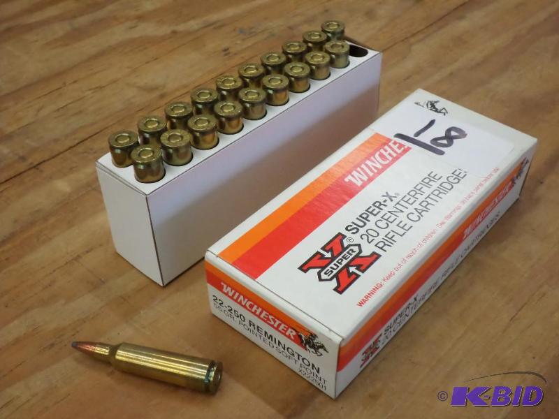 (20) Rounds Winchester .22-250 Remington 55gr...