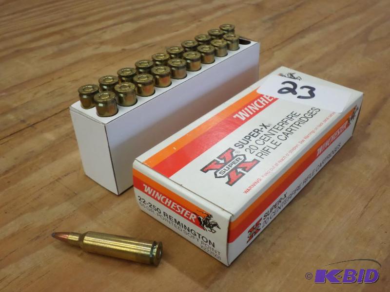 (20) Rounds Winchester .22-250 Remington 55gr...