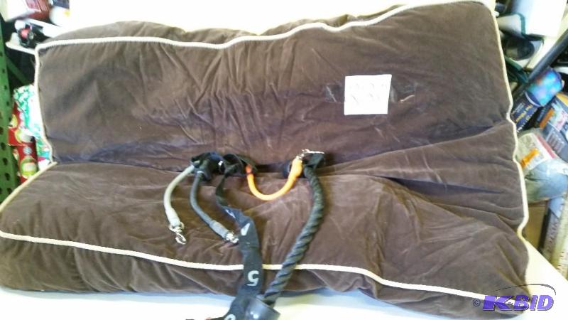 Large Pet Bed and Training Toy