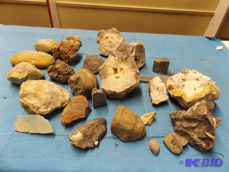 Rocks and Fossils...