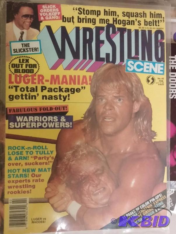 Vintage The Wrestling Scene Magazine-Protecte...