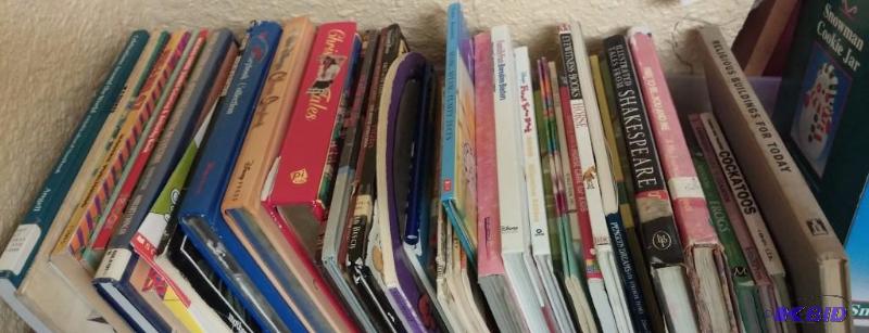 Large Lot of Books as shown...