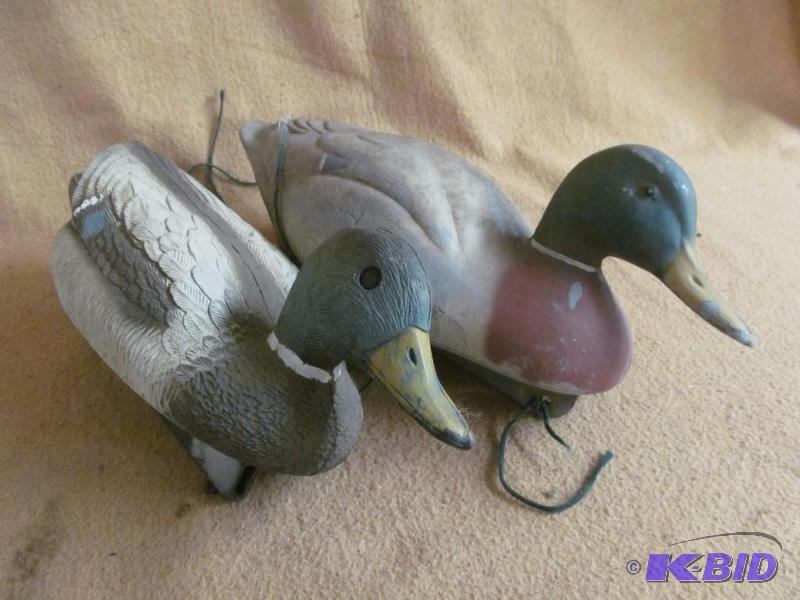 Decoy