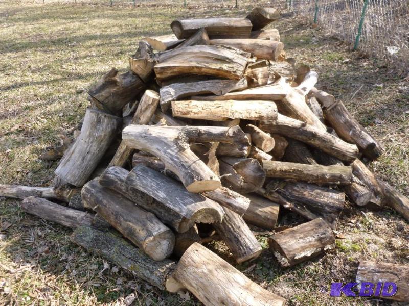 lot 14 image: Large pile of cut and dried heating  campfir...