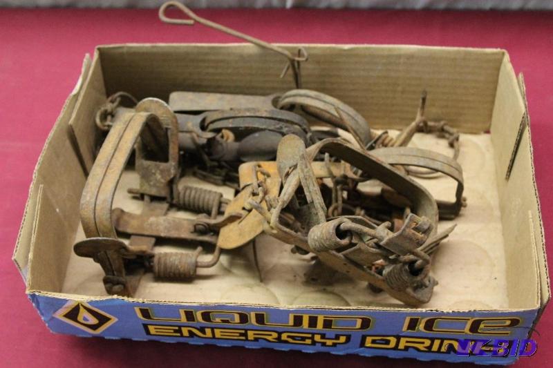 Box of pan traps&nbsp...