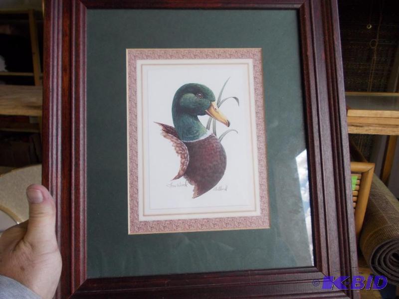 Mallard Print