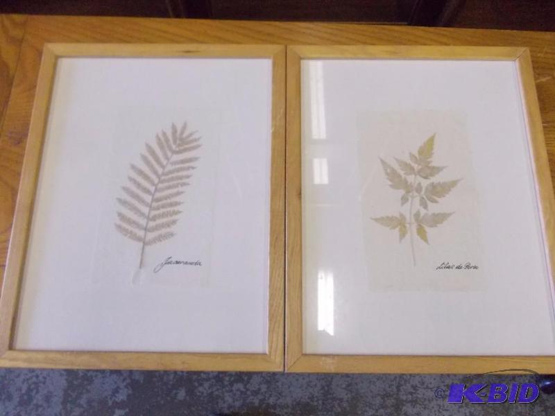 2-Framed Pictures