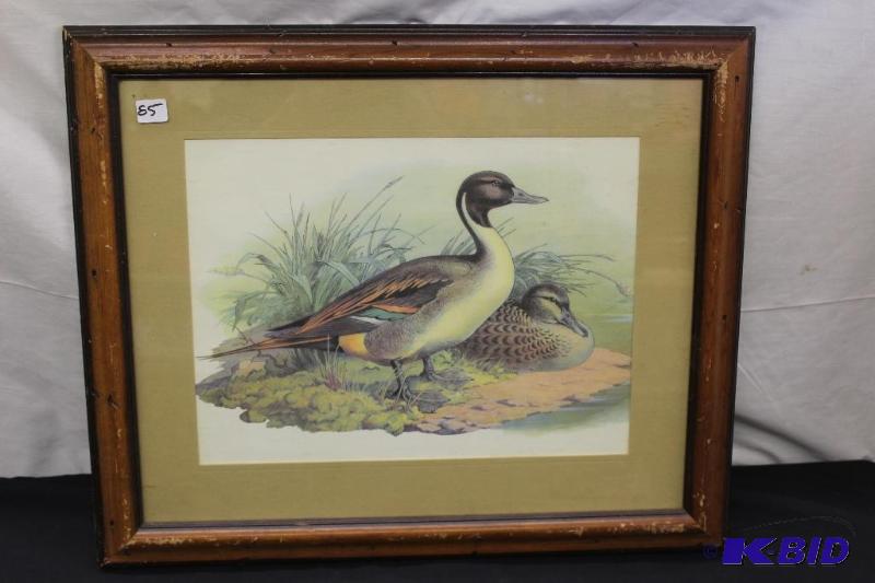 Frame Duck Print&nbsp...