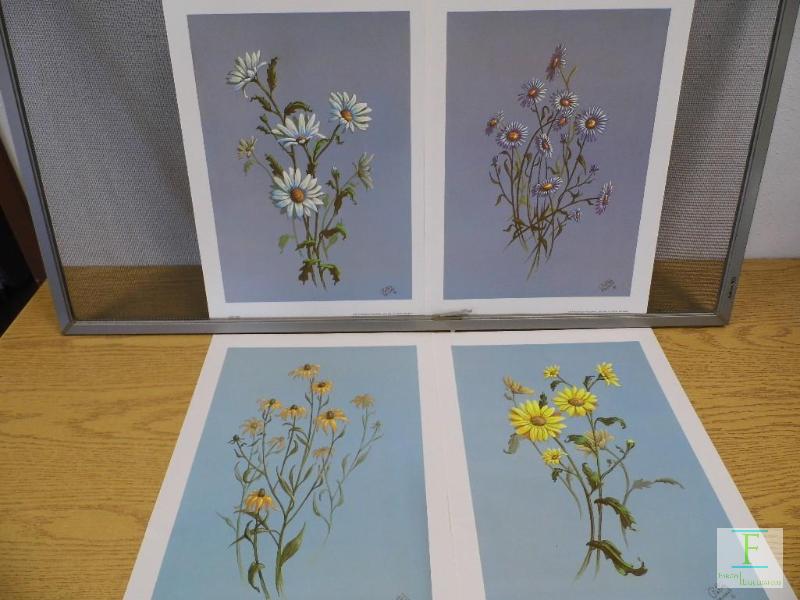 lot 27 image: Floral