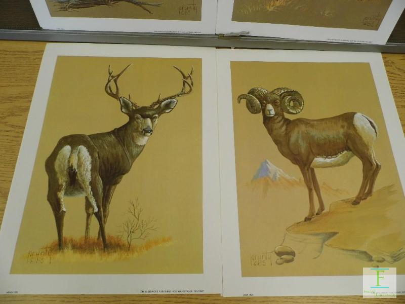lot 39 image: Big Game