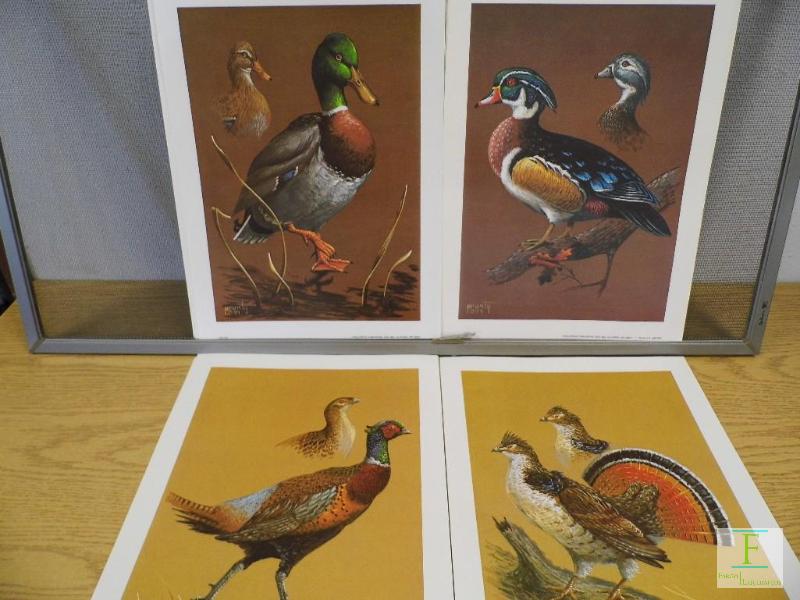 lot 43 image: Wild Birds
