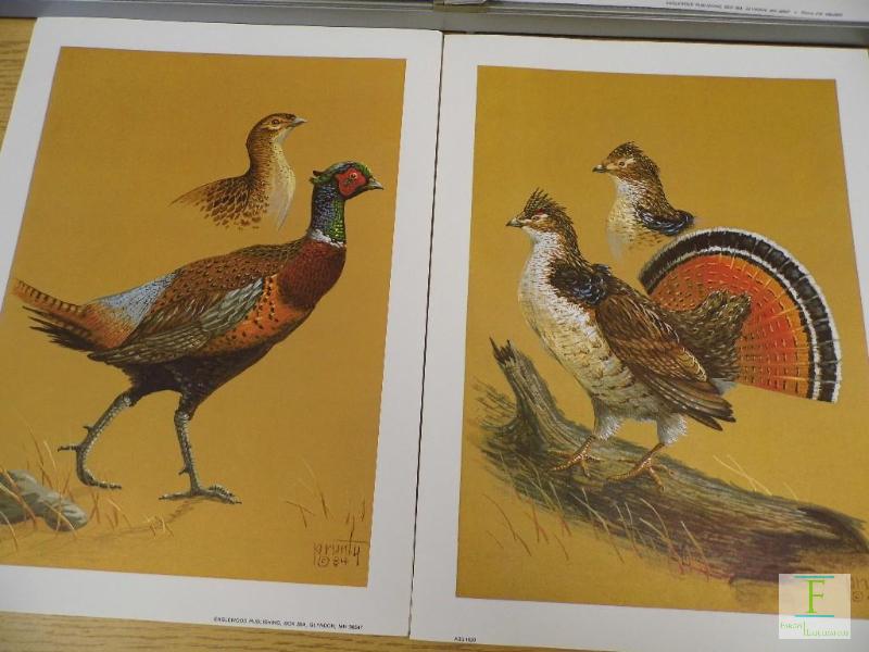 lot 47 image: Wild Birds