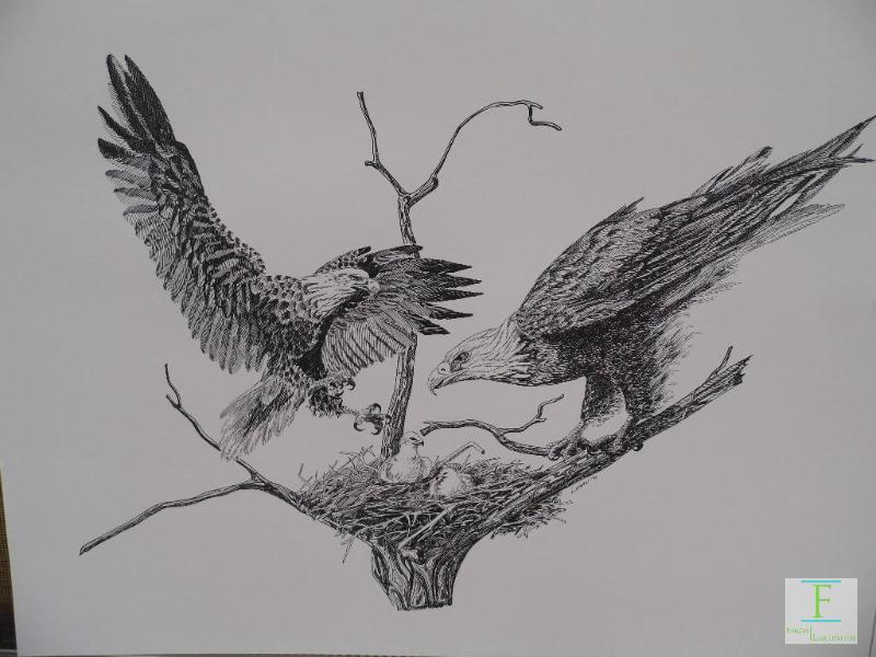 lot 50 image: Eagles and Wolves