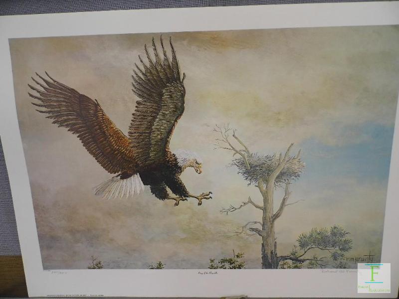 lot 7 image: King of the Republic