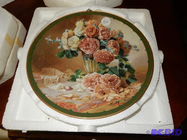 12 Colletor plates