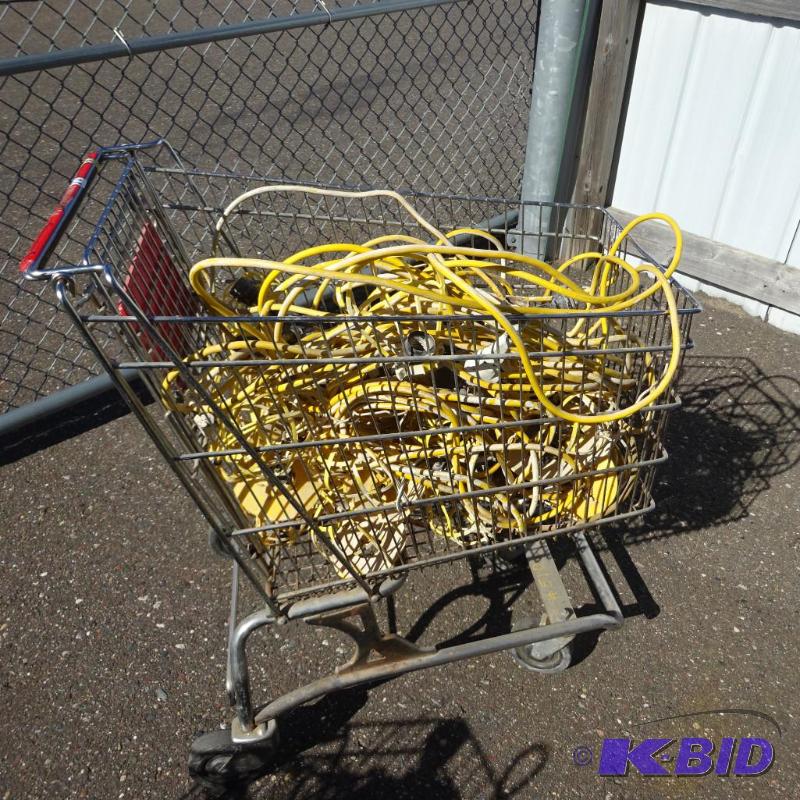 Shopping Cart with Temporary Light Strand...