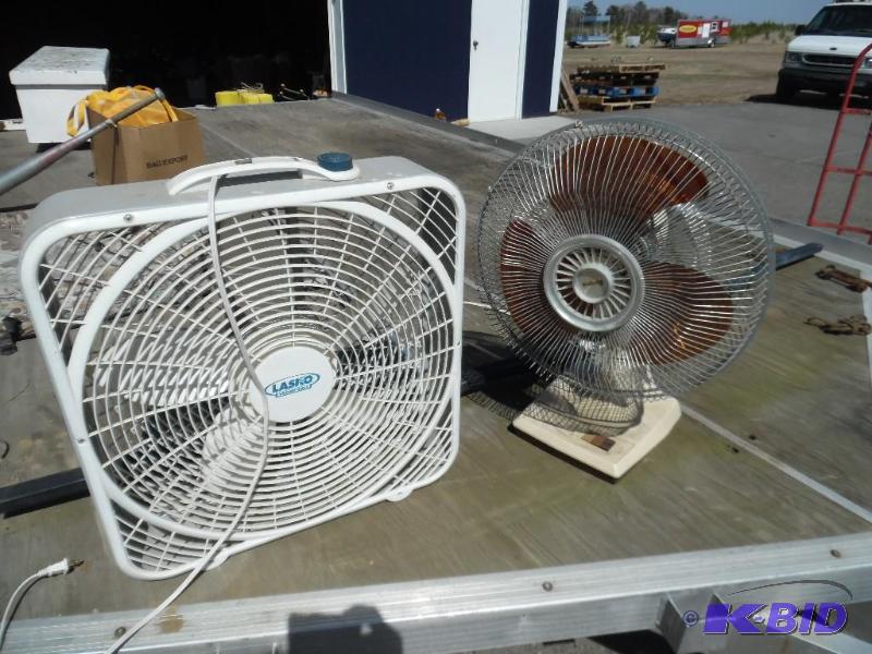 Fans
