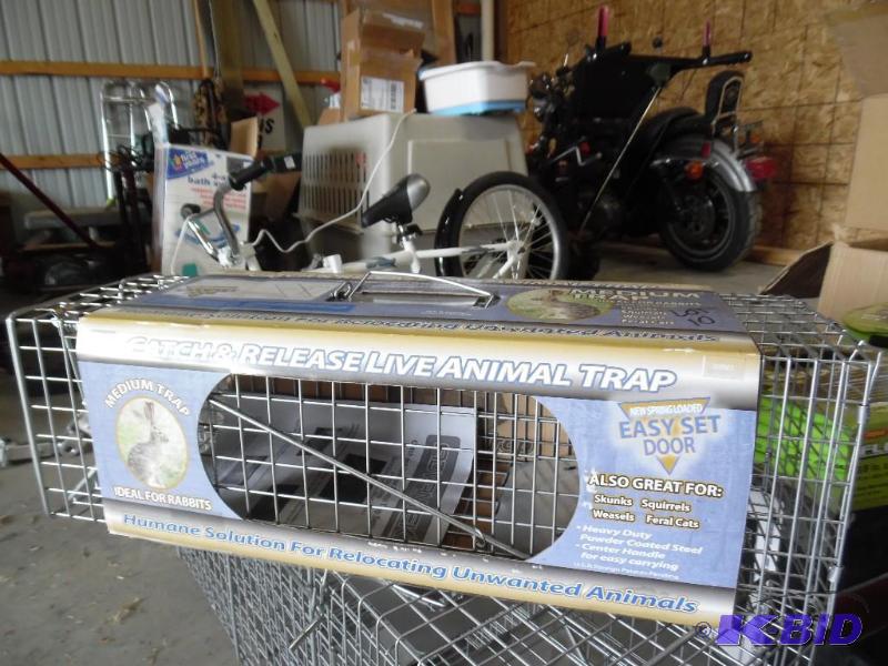Animal Trap