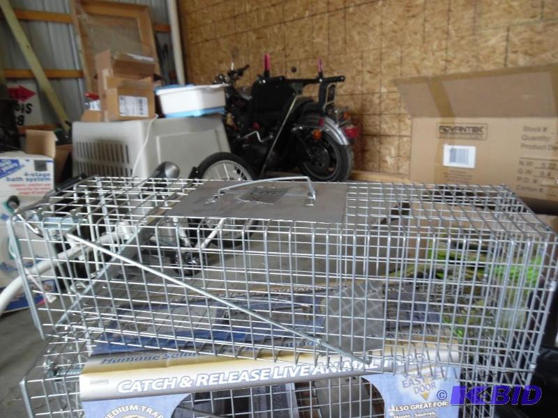 Animal Trap