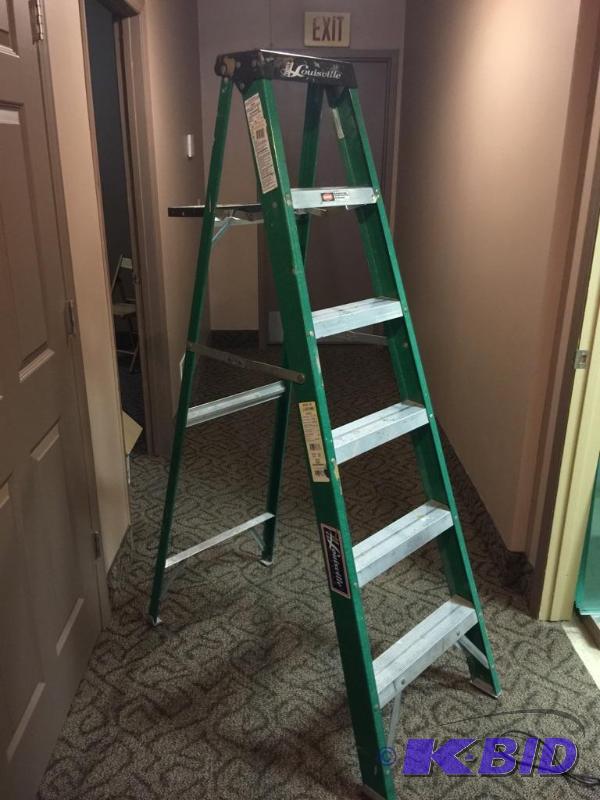 lot 28 image: Green Ladder