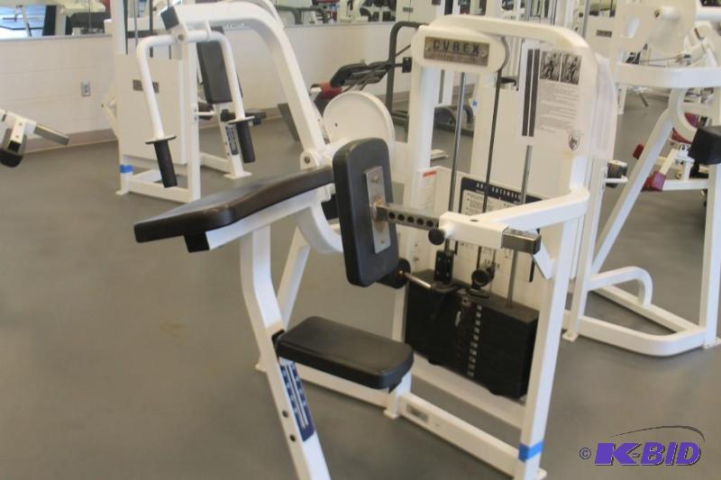 lot 13 image: Cybex Seated Arm  Tricep Extension