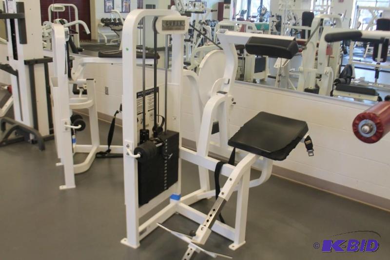 lot 7 image: Cybex Back Extension