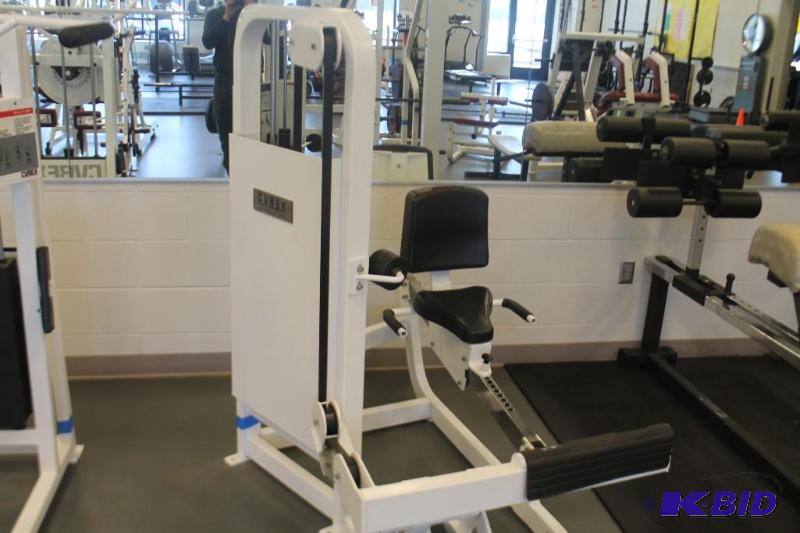 lot 9 image: Cybex Seated Calf Raise - Selectorized (Rotary Calf)
