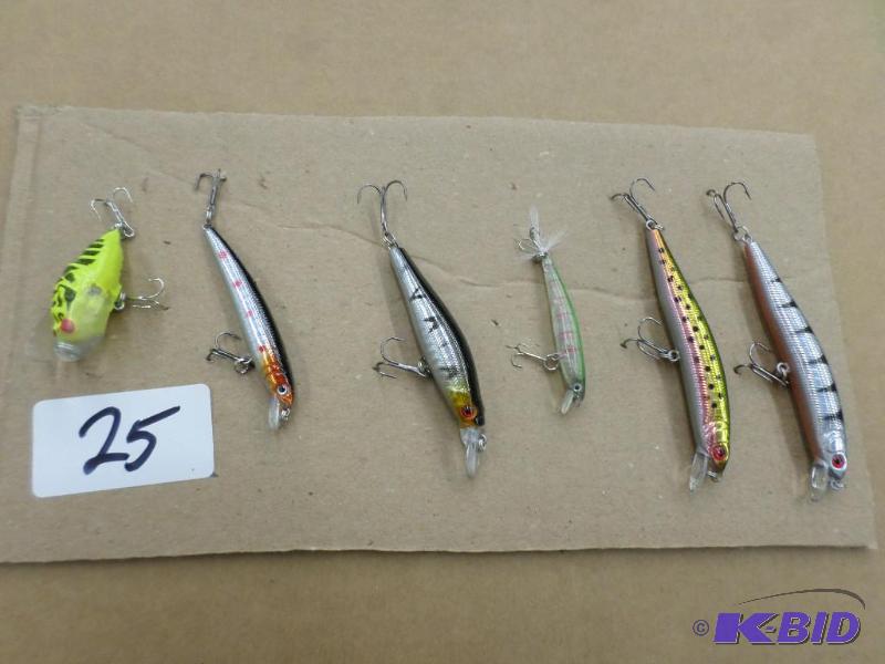 (6) New Crankbait Lures...