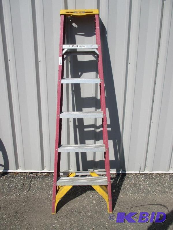 lot 28 image: Werner 6 step ladder...