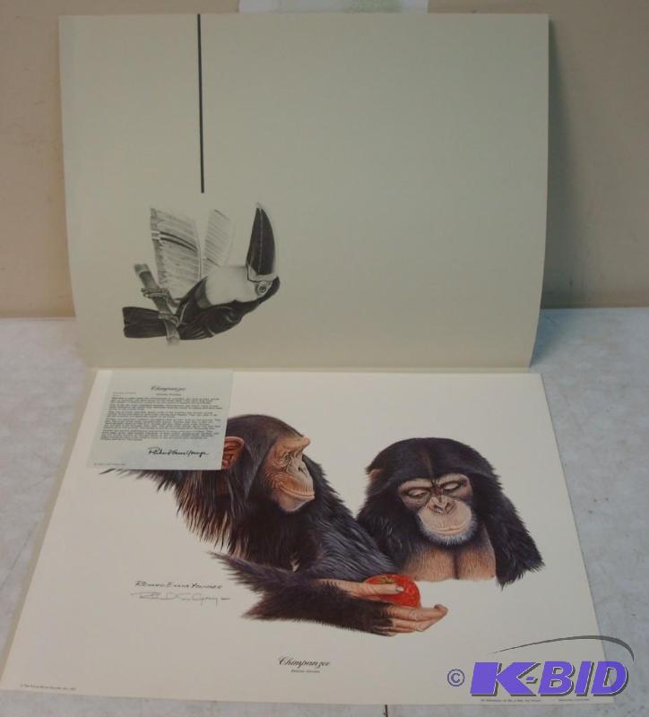 lot 51 image: Richard Evens Younger Large Chimpanzee Frame ...