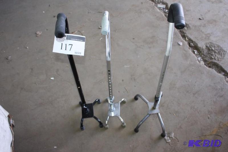 Lot of (3) Standing Canes Miscellaneous Styles.