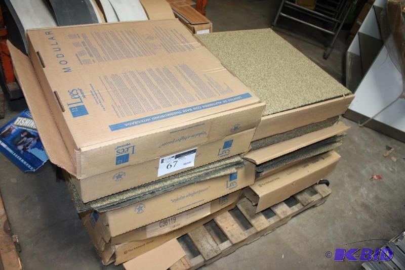 Box Lot of (12) Carpet Squares Short Carpet Height Brownish 24 x 24.