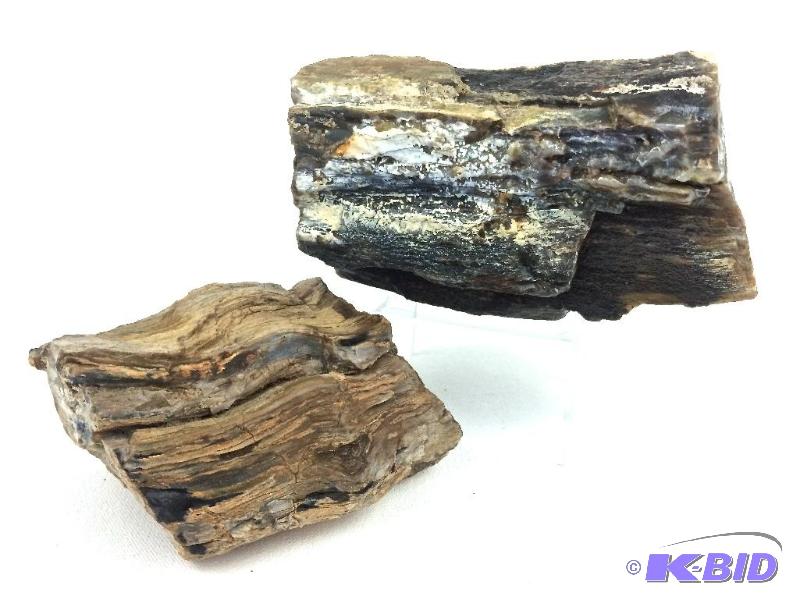 Museum quality Wow 2  Large lot Large  petrified wood specimens with fantastic graining