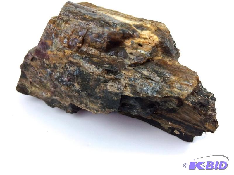 Sky Blue Arizona Desert Petrified Wood with Well Preserved Bark Opal
