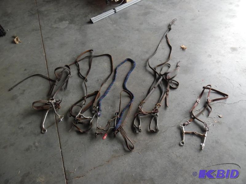 Horse Bits