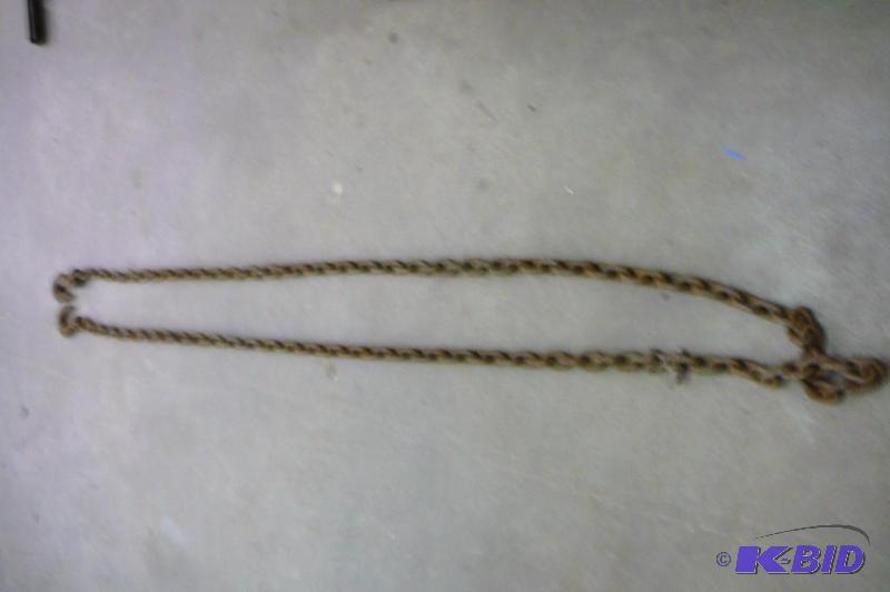 lot 170 image: 16 Log Chain 2 hooks...