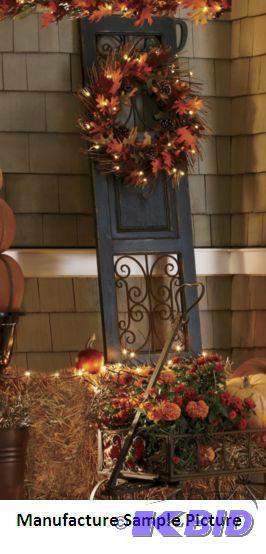 Black Wall Gate - Has Wooden Frame - Has Iron...