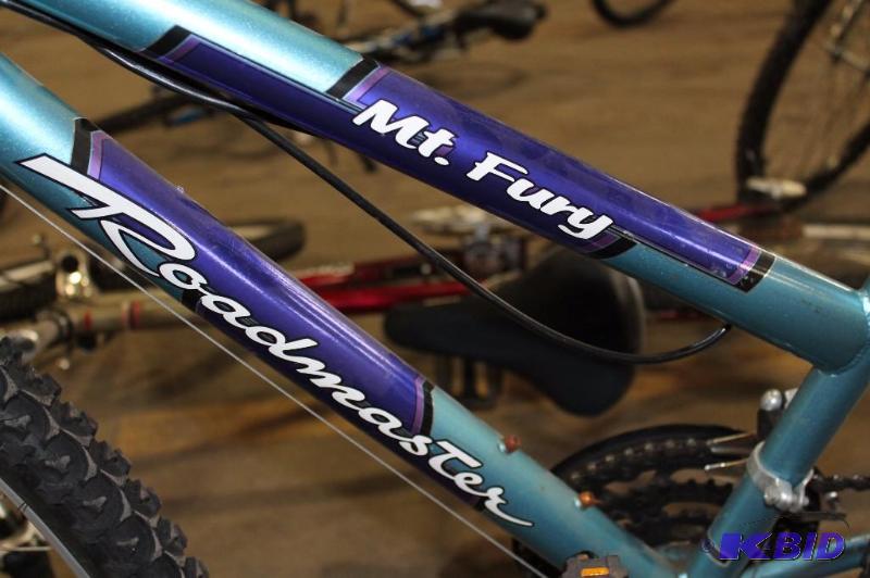 mt fury bike