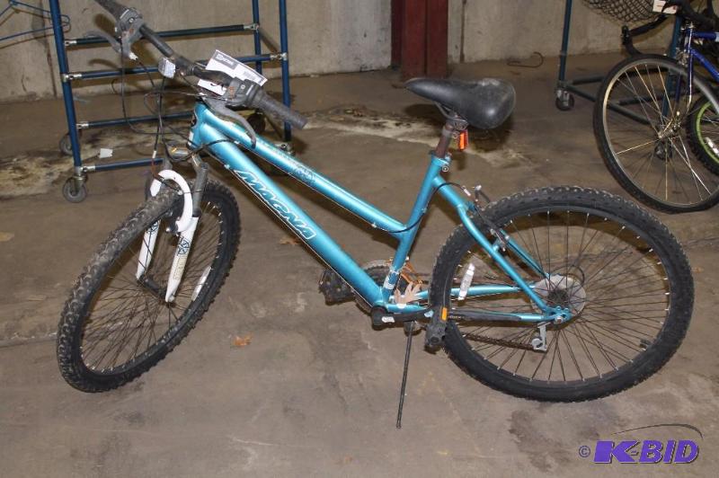 lot 509 image: Magna Great Divide Bike 20 Rims SN DJEC092416 Blue.