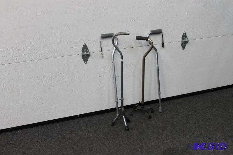 Various Canes
