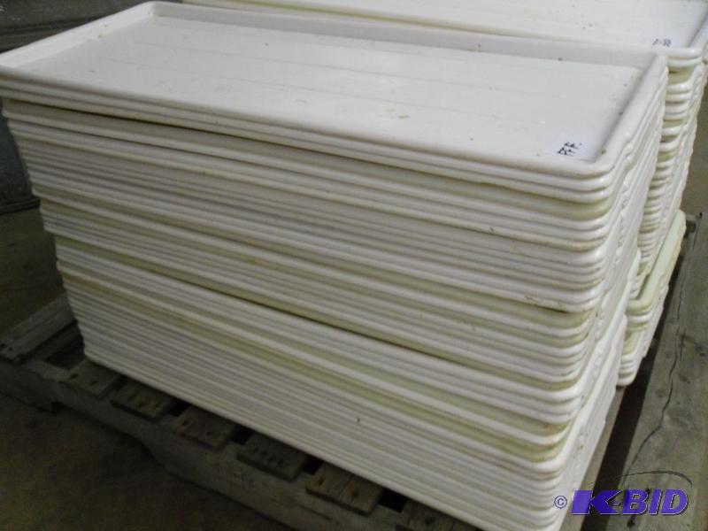 lot 68 image: 43 Plastic Trays