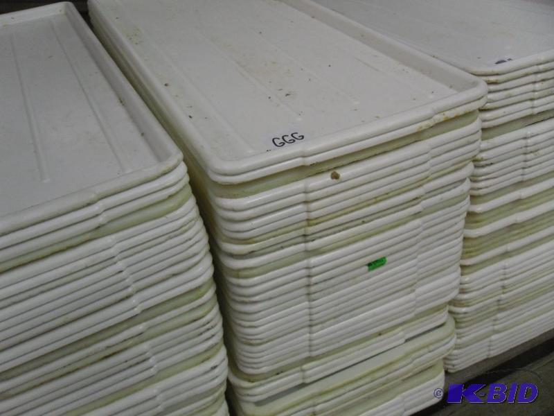 lot 68A image: 43 Plastic Trays